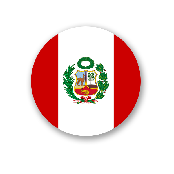 Reliable IPTV Subscription in Peru - Rapid IPTV Reliable IPTV Subscription in Peru